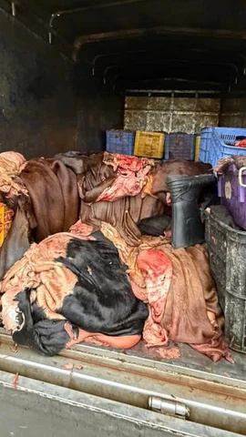 Sản phẩm động vật có dấu hiệu không bảo đảm vệ sinh thú y.