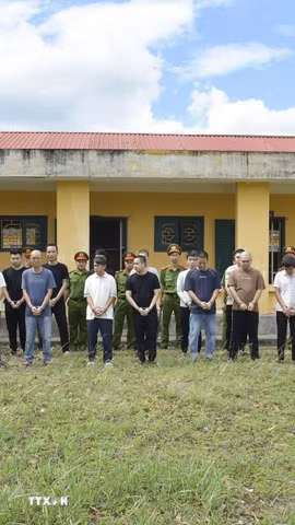 Các đối tượng trong đường dây tổ chức đánh bạc trực tuyến quy mô lớn bị khởi tố. (Ảnh: TTXVN phát)