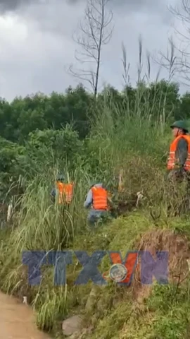 Quảng Trị: Nỗ lực tìm kiếm lái xe tải vượt ngầm tràn bị lũ cuốn trôi 