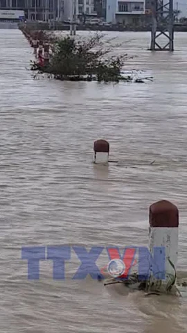 Mưa lũ gây chia cắt, cô lập hàng trăm hộ dân tại Gia Lai 