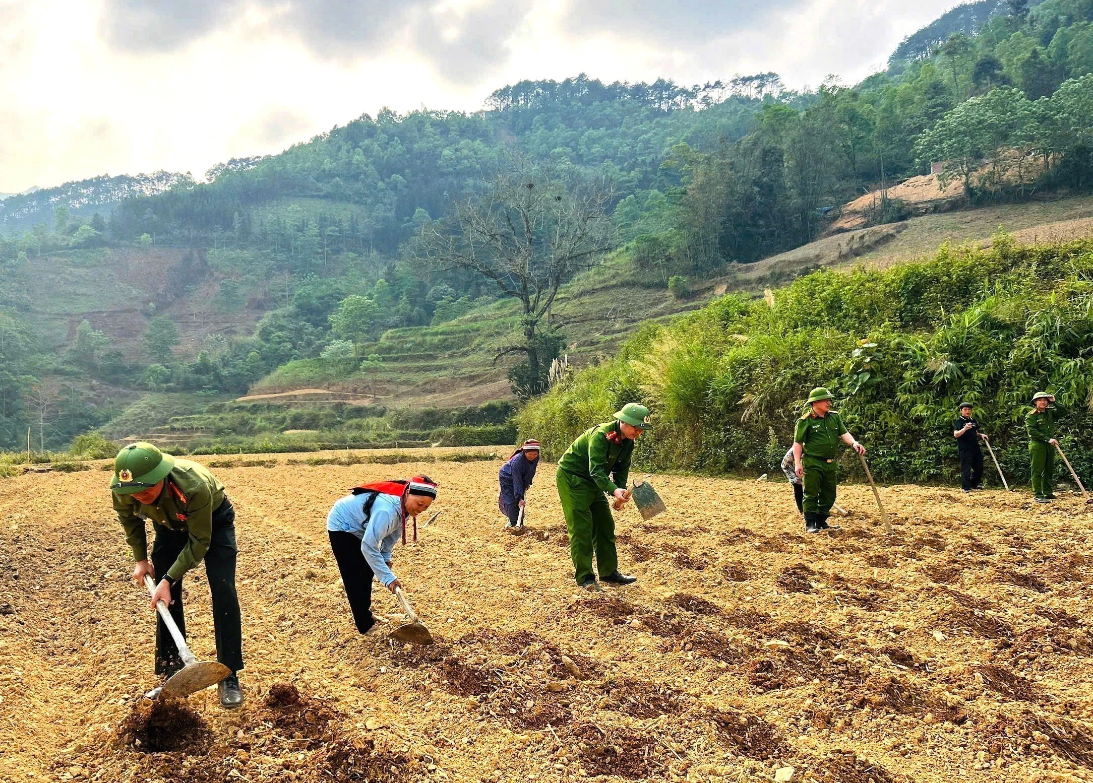 Sắc Phục Xanh Góp Sức Dựng Xây Mùa Vàng Mới Trên Nương Cao Tuyên Quang