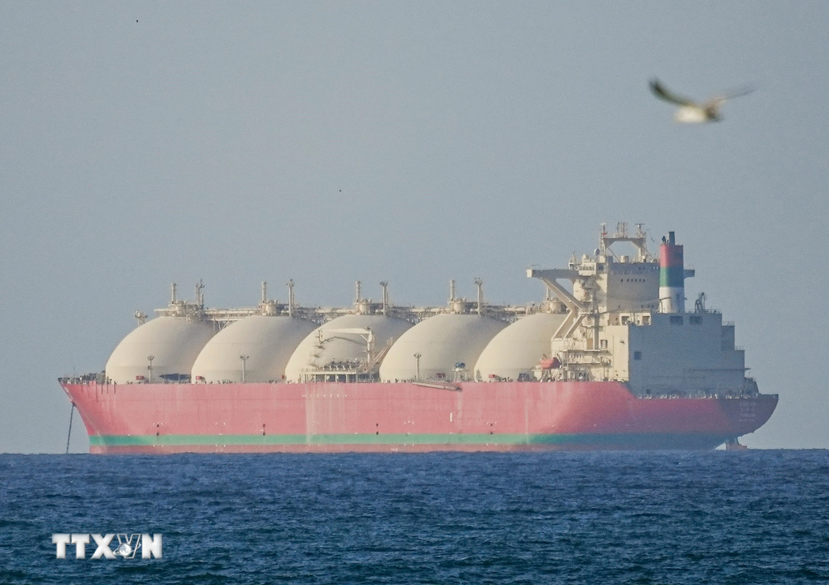 Iran Có Thể Gây Thiệt Hại 435 Triệu USD Mỗi Ngày Nếu Phong Tỏa Eo Biển Hormuz
