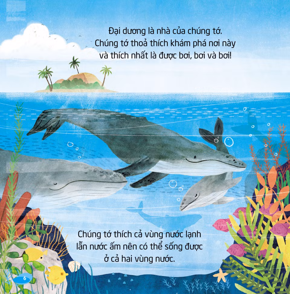 Cuốn "Cá voi" kể về một chú cá voi lưng gù. Gia đình cá voi đang trong chuyến hành trình di chuyển từ vùng biển ấm đến vùng nước lạnh ở Nam Cực – nơi có nhiều thức ăn hơn. Sách sẽ đưa các em nhỏ trải nghiệm một ngày của gia đình cá voi. Bộ sách được bán tại các nhà sách ADCBook trên toàn quốc. (Ảnh: PV/Vietnam+)