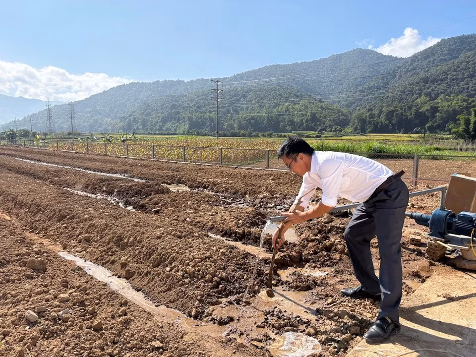 Để tiết kiệm tiền nước tưới nước cho khu trồng rau và hệ thống cây trong khắp khuôn viên trường, thầy Sơn đã lắp đặt 5 giếng khoan. Nguồn nước này dự kiến sẽ được lọc bằng bể lọc truyền thống để phục vụ một phần sinh hoạt cho học sinh và để vận hành bể bơi. Thầy Sơn cho hay, bể bơi với dung tích khoảng 240m2 nước, nếu sử dụng nước sạch thì sẽ phát sinh nguồn chi phí vận hành rất lớn. (Ảnh: Vietnam+)
