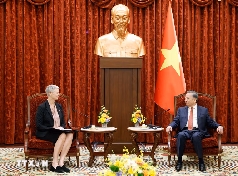 ttxvn-tong-bi-thu-chu-tich-nuoc-to-lam-tiep-dai-su-vuong-quoc-na-uy-8875914.jpg