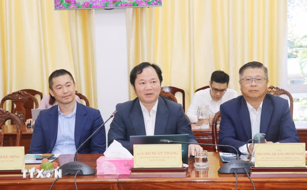 ttxvn-can-tho-va-cac-doanh-nghiep-sigapore-tim-hieu-co-hoi-hop-tac-dau-tu-8814538.jpg