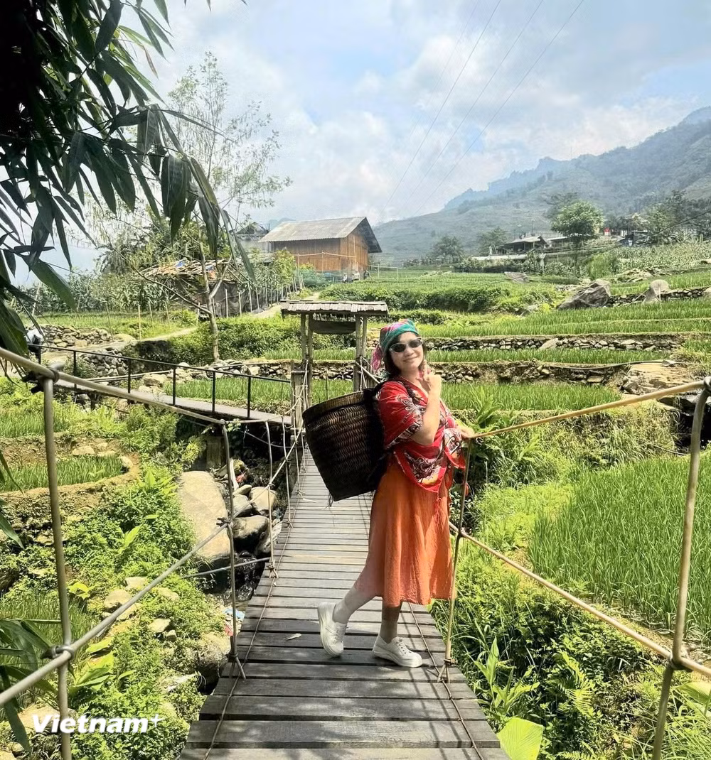 vnp-lao-cai.jpg