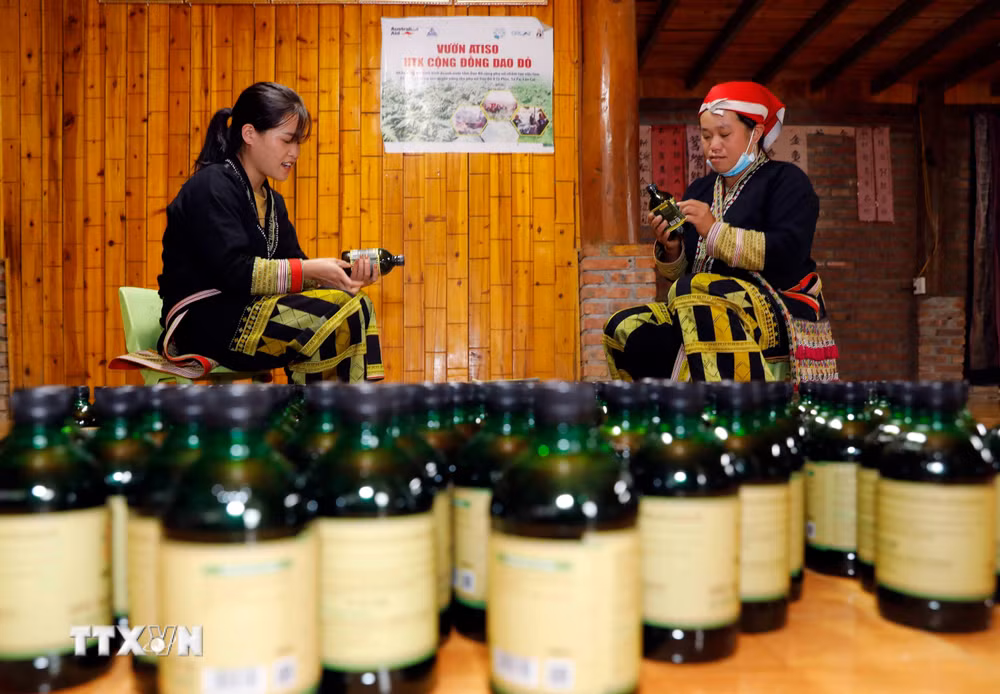 ttxvn-kinh-te-lao-cai.jpg