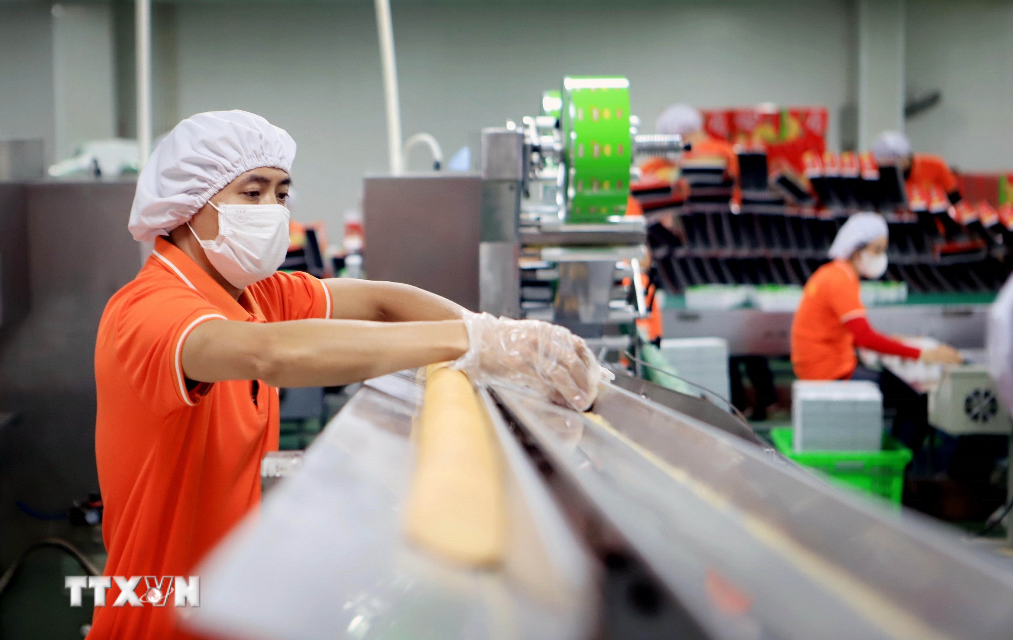 Sản xuất các mặt hàng xuất khẩu tại Công ty Cổ phần Quốc tế Bảo Hưng (Cụm công nghiệp Tân Minh, huyện Vũ Thư, tỉnh Thái Bình). (Ảnh: Thế Duyệt/TTXVN)