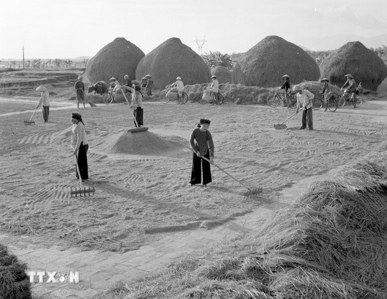 Đại hội Đảng lần thứ III: Xây dựng CNXH ở miền Bắc, đấu tranh thống nhất nước nhà ttxvn-dai-hoi-lan-thu-iii-cua-dang-4.jpg