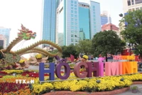 Ảnh minh họa. (Nguồn: TTXVN)