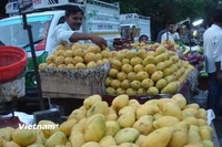Trái cây Việt Nam. (Ảnh minh họa. Nguồn: PV/Vietnam+)