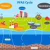 PFAS là mối lo ngại đối với môi trường và sức khỏe. (Nguồn: ae2s)
