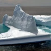 Băng trôi ngoài khơi Dunedin, New Zealand. (Nguồn: AFP/TTXVN)