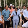 Bí thư Tỉnh ủy Bình Phước Tôn Ngọc Hạnh (giữa) cùng lãnh đạo các sở, ngành, thị xã Chơn Thành thị sát tại các điểm trên cao tốc Thành phố Hồ Chí Minh-Thủ Dầu Một-Chơn Thành đoạn quan địa bàn tỉnh Bình Phước. (Ảnh: Nhật Bình/TTXVN)