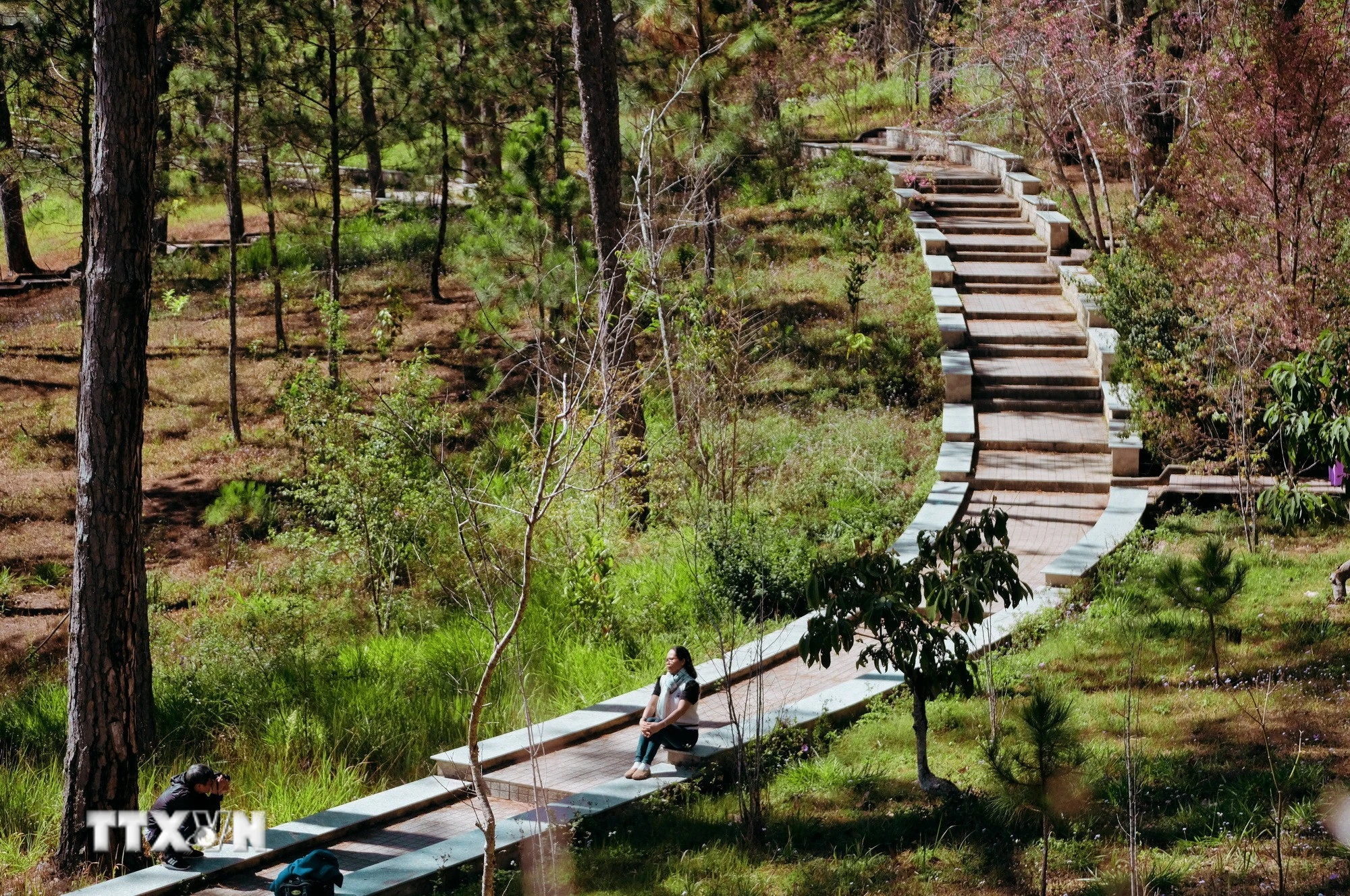 Lâm Đồng tham gia dự án đường đẹp không góc chết ngay tại lòng Đà Lạt