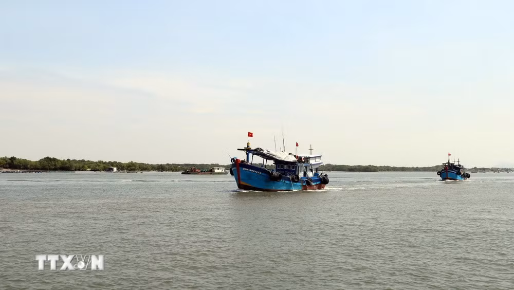 ttxvn-0311-cang-tau-ca-thanh-pho-ho-chi-minh-2.jpg