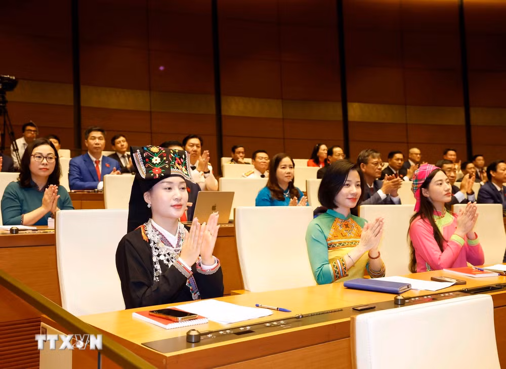 ttxvn-0604-khai-mac-ky-hop-thu-nhat-quoc-hoi-khoa-xvi-6.jpg