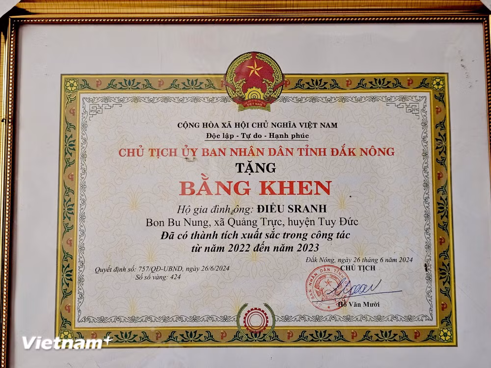 vnp-3006-truong-bon-2.jpg