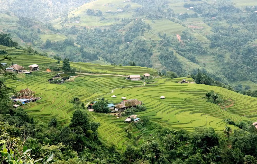 lang-reu-xa-phin-tuyen-quang-5.jpg
