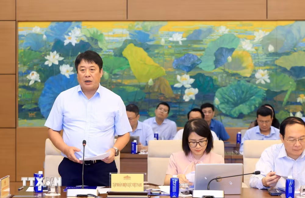 ttxvn-1607-tong-giam-doc-dien-luc-viet-nam.jpg