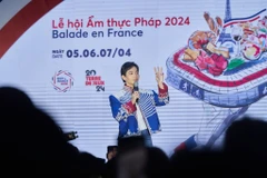 Ca sỹ Hoàng Dũng tham gia biểu diễn trong Lễ hội Balade en France năm 2024. (Ảnh: PV/Vietnam+)