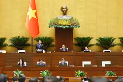 Phó Chủ tịch Quốc hội Nguyễn Hồng Diên phát biểu. (Ảnh: Doãn Tấn/TTXVN)