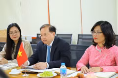 Thứ trưởng Bộ Văn hóa, Thể thao và Du lịch Tạ Quang Đông (giữa) chủ trì buổi làm việc với Chủ tịch Ủy ban Nhà nước về Công tác Kiều dân Azerbaijan. (Ảnh: BVHTTDL)