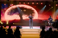 Ca sỹ-nhạc sỹ Dương Trường Giang trong đêm nhạc "Giang Phố." (Ảnh: CTV/Vietnam+)