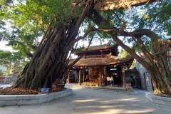 Đền Mẫu là di tích tiêu biểu của Phố Hiến, thu hút đông đảo nhân dân và du khách thập phương. (Ảnh: Minh Thu/Vietnam+)