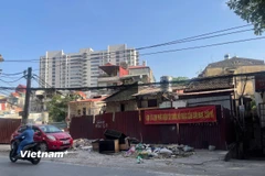 (Ảnh: Lê Quỳnh Anh/Vietnam+)
