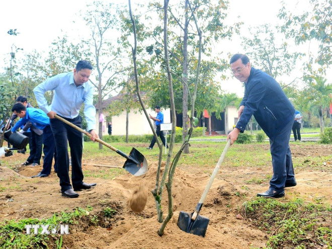 ttxvn-tet-trong-cay-binh-dinh-0702.jpg