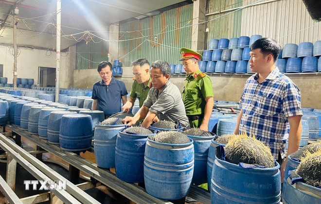 ttxvn-lao-cai-khoi-to-3-bi-can-san-xuat-gia-do-bang-hoa-chat-doc-hai-3105-2.jpg