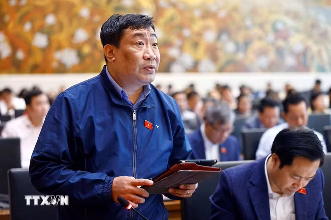 ttxvn-dbqh-chuyen-trach-thao-luan-ve-du-an-luat-quang-cao-va-du-an-luat-bao-ve-du-lieu-ca-nhan-2603-4.jpg