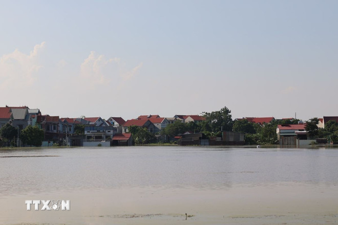 ttxvn-song-cau-1410.jpg
