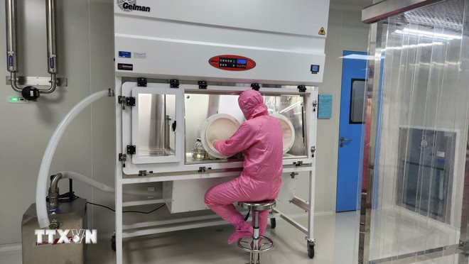 Những chính sách có hiệu lực từ tháng 6/2025: Dừng cấp thẻ Bảo hiểm y tế giấy ttxvn-chuyen-gia-29.jpg