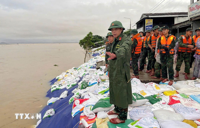 ttxvn-da-nang-ung-pho-khan-cap-truoc-nguy-co-vo-de-sat-lo-bo-bien-8383941.jpg