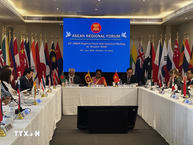 ttxvn-viet-nam-dong-chu-tri-cuoc-hop-lan-thu-23-nhom-giua-ky-arf-ve-cuu-tro-tham-hoa-0708.jpg