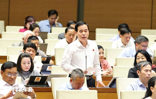 ttxvn-quoc-hoi-thao-luan-ve-du-an-luat-sua-doi-bo-sung-mot-so-dieu-cua-bo-luat-to-tung-hinh-su-2705-2.jpg