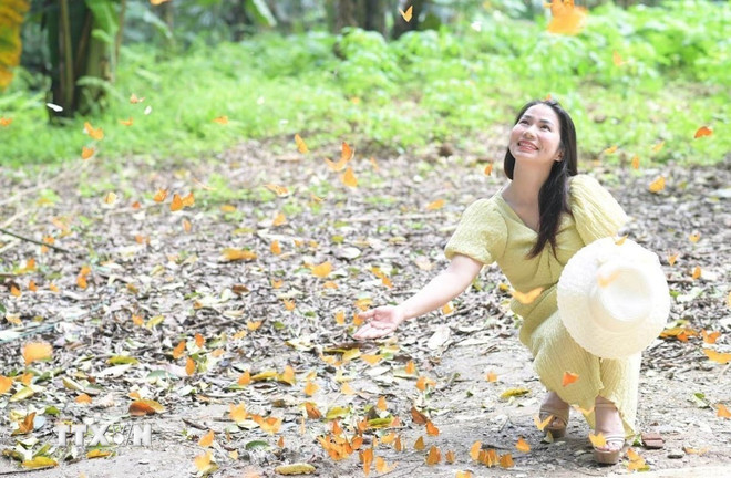 요즘 젊은이들은 국풍 국립공원을 자연이 선사하는 아름다움으로 인해 ttxvn-rung-cuc-phuong-hut-khach-mua-buom-2605-1.jpg