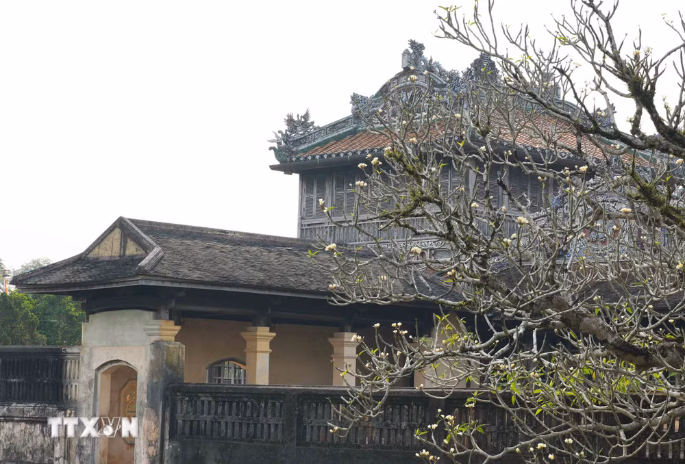 ttxvn-hoa-dai-noi-hue-7.jpg