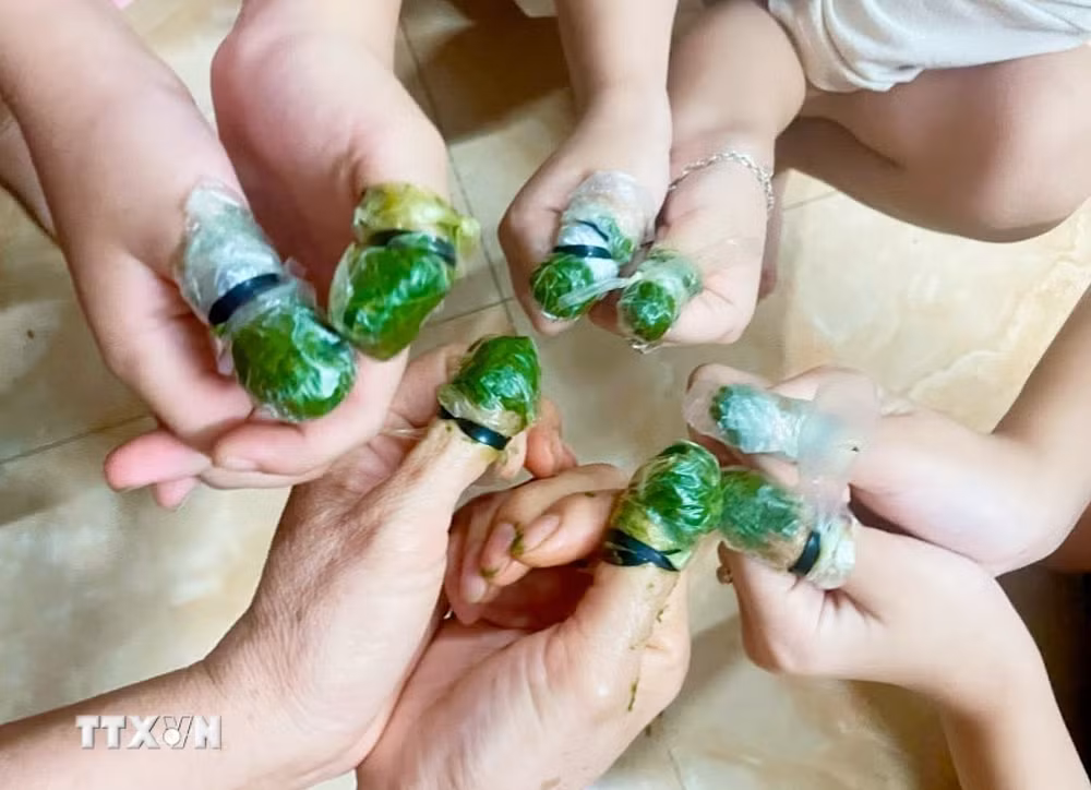 ttxvn-nhuom-mong-tay-2.jpg