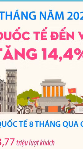 8 tháng của năm 2026: Khách quốc tế đến Việt Nam tăng 14,4%