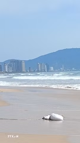 Bãi biển thuộc phường Khuê Mỹ, quận Ngũ Hành Sơn (thành phố Đà Nẵng). (Ảnh minh họa: Văn Dũng/TTXVN)