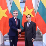 Bộ trưởng Ngoại giao Lê Hoài Trung hội đàm với Bộ trưởng Ngoại giao Litva Kestutis Budrys. (Ảnh: Minh Đức/TTXVN)