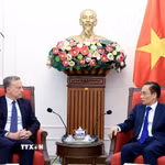 Bộ trưởng Ngoại giao Lê Hoài Trung tiếp Tổng Thư ký Bộ Châu Âu và Ngoại giao Cộng hoà Pháp Martin Briens. (Ảnh: Tuấn Anh/TTXVN)
