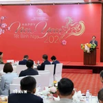 Đồng chí Lê Hoài Trung, Bí thư Trung ương Đảng, Bộ trưởng Bộ Ngoại giao phát biểu tại buổi gặp mặt. (Ảnh: An Đăng/TTXVN)