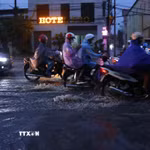 Ảnh minh họa. (Ảnh: Văn Điệp/TTXVN)