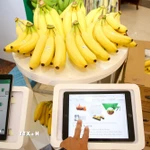 truy xuất nguồn gốc sản xuất. (Ảnh: Giang Phương/TTXVN)