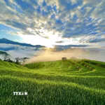 Bình minh lên trên ruộng bậc thang Thông Nguyên (Tuyên Quang). (Ảnh: Triệu Quyên/TTXVN phát)